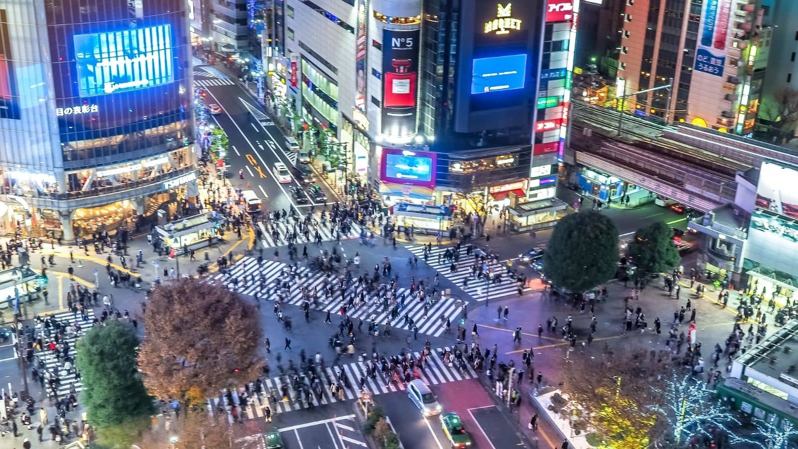 Shibuya Tokio Japón 2026