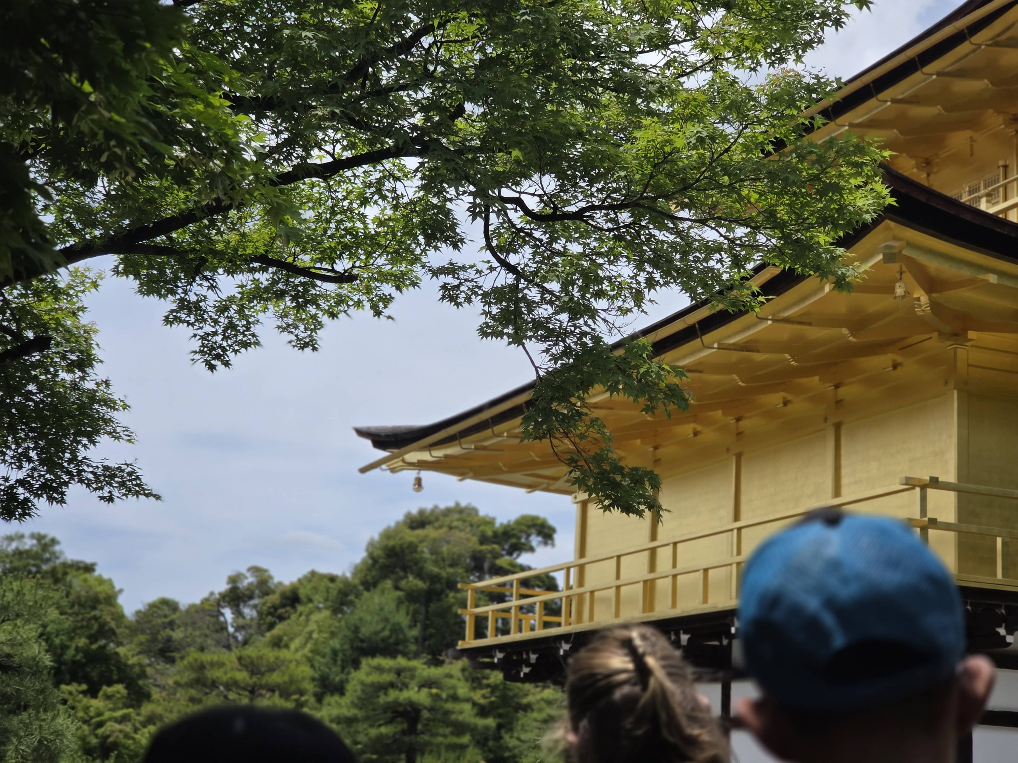 Pabellon Dorado Kioto Japón 2026
