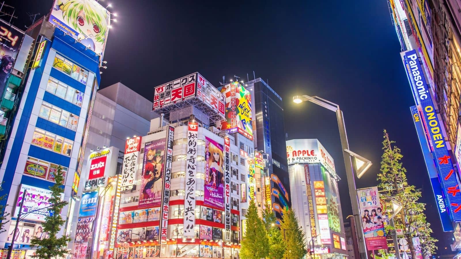 Akihabara Tokio Japón 2026