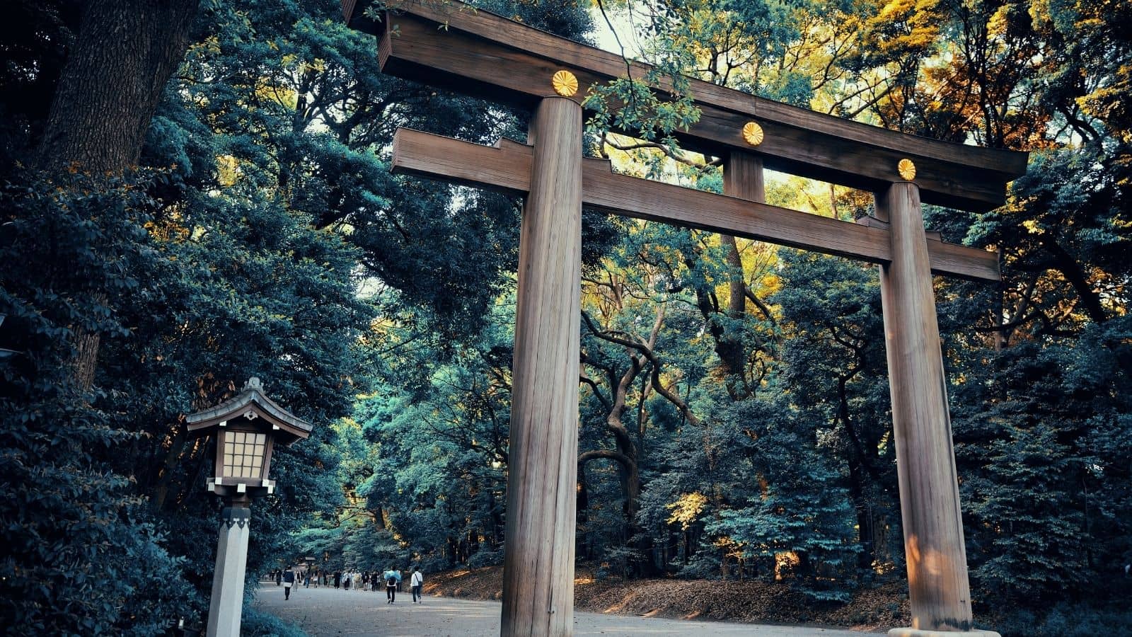 Meiji Santurario Shibuya Tokio Japón 2026
