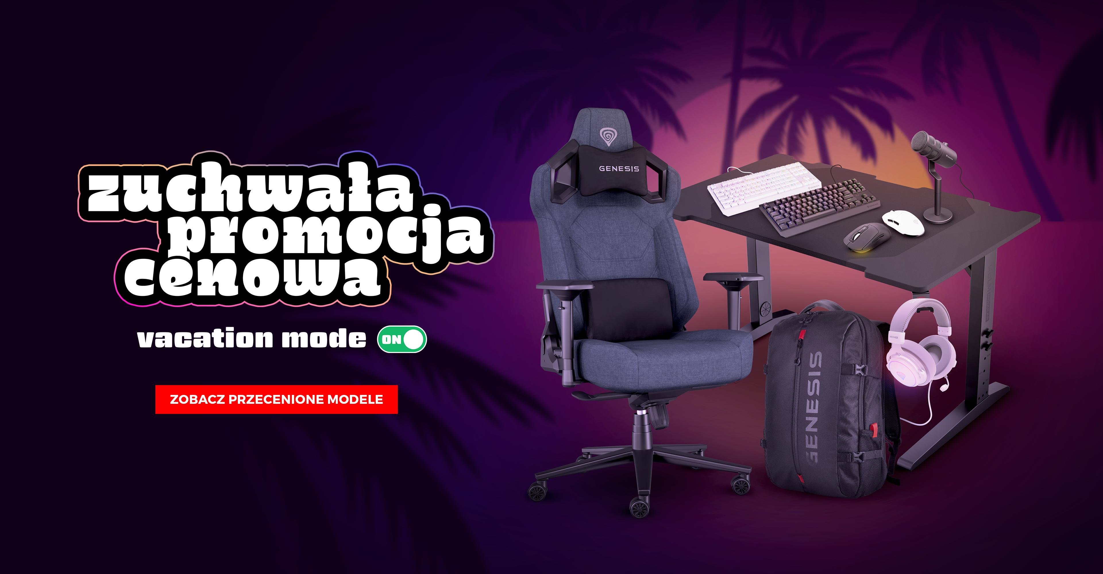 Zuchwała promocja cenowa - topowy sprzęt w jeszcze niższej cenie - baner