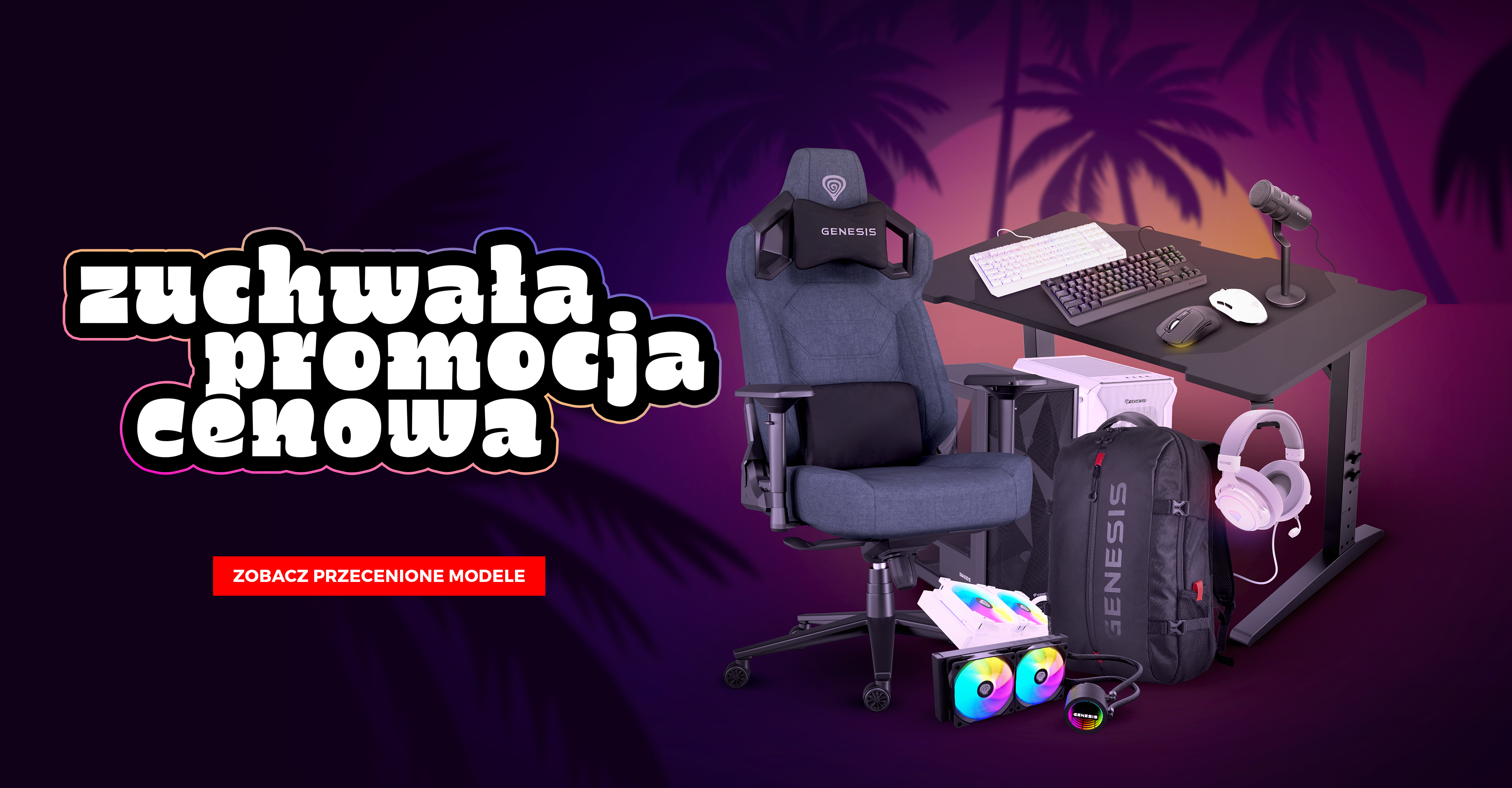 Zuchwała promocja cenowa - topowy sprzęt w jeszcze niższej cenie - baner