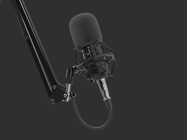 Mikrofon GENESIS Radium 300 XLR