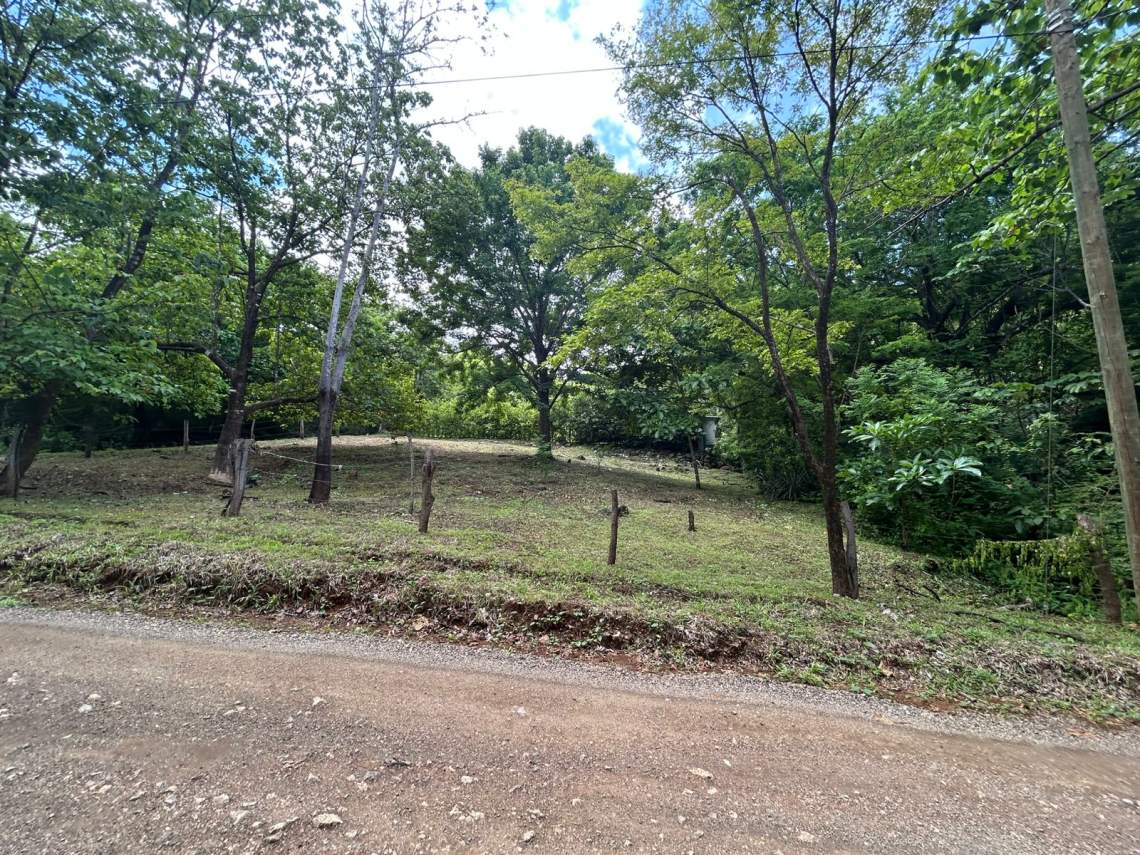 1174 m2 Lot Altos de Pinilla 