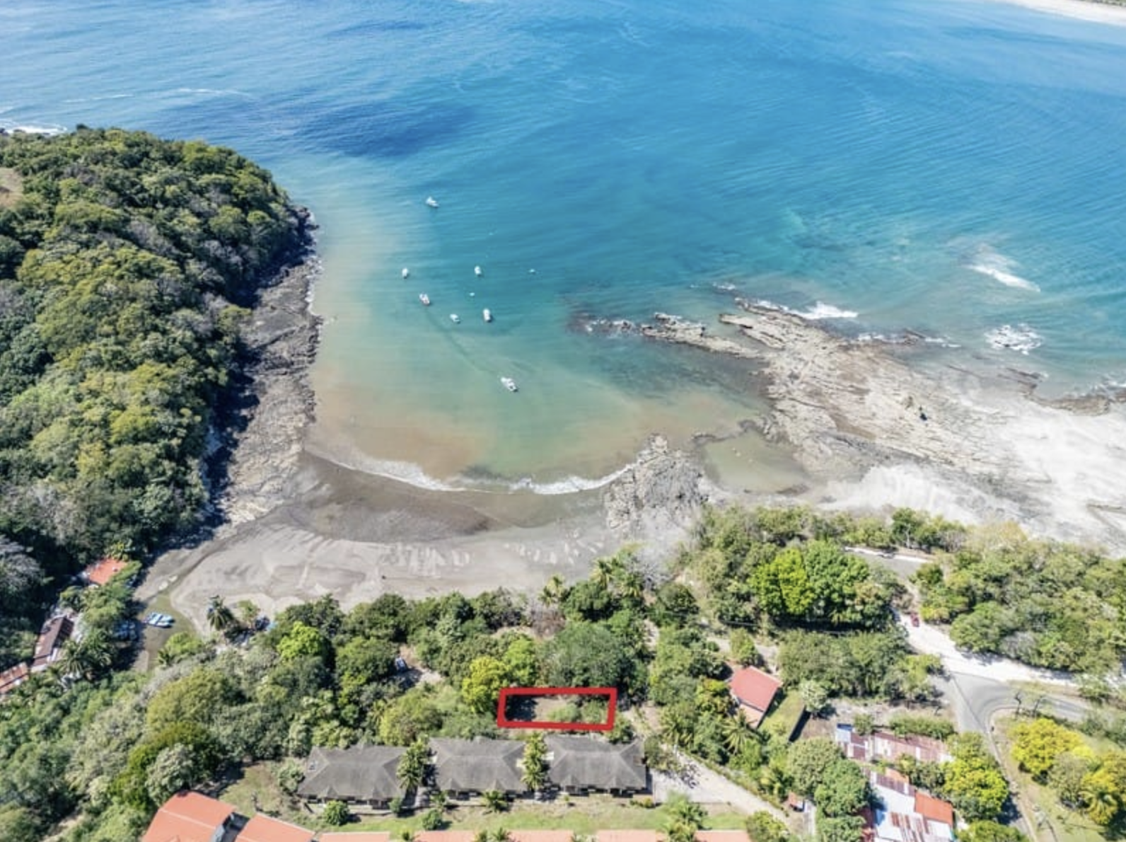 Lot altos de flamingo