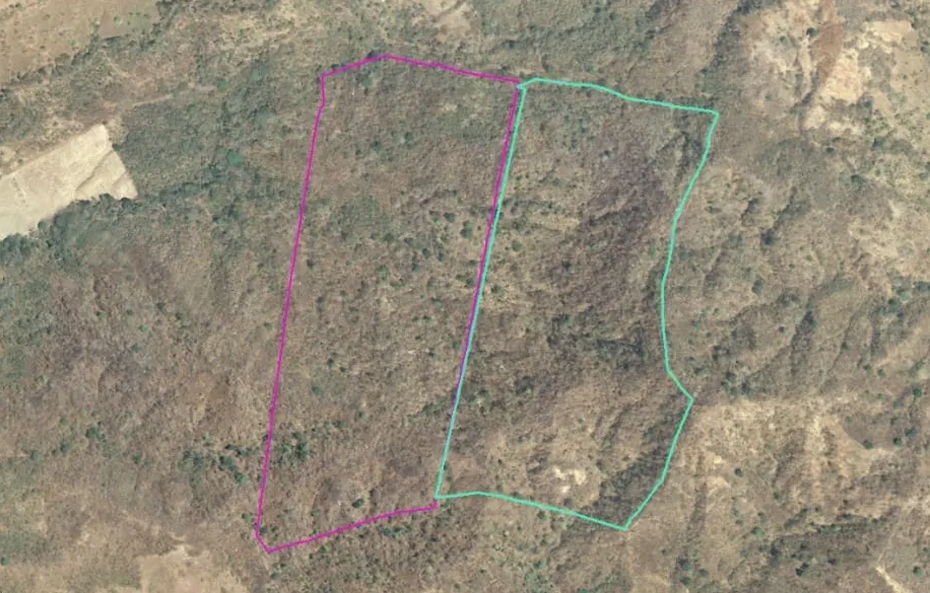 82 HECTAREAS VILLA REAL 