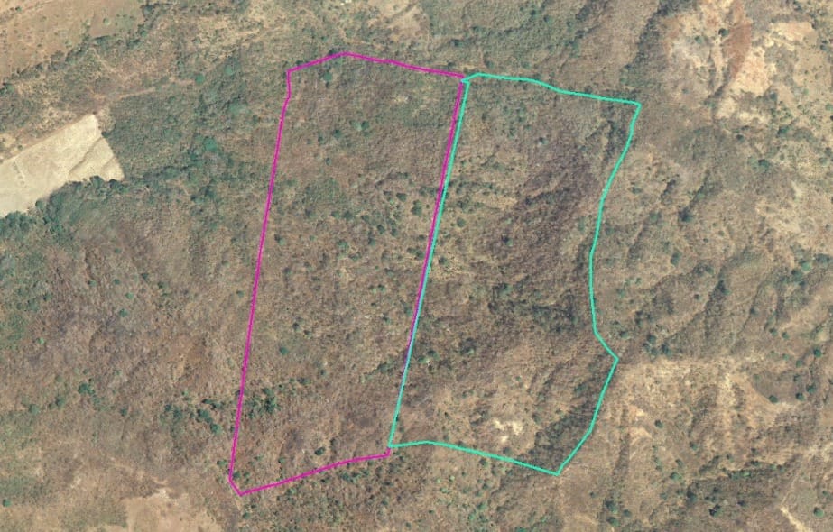 82 Hectares Farm Near Villarreal