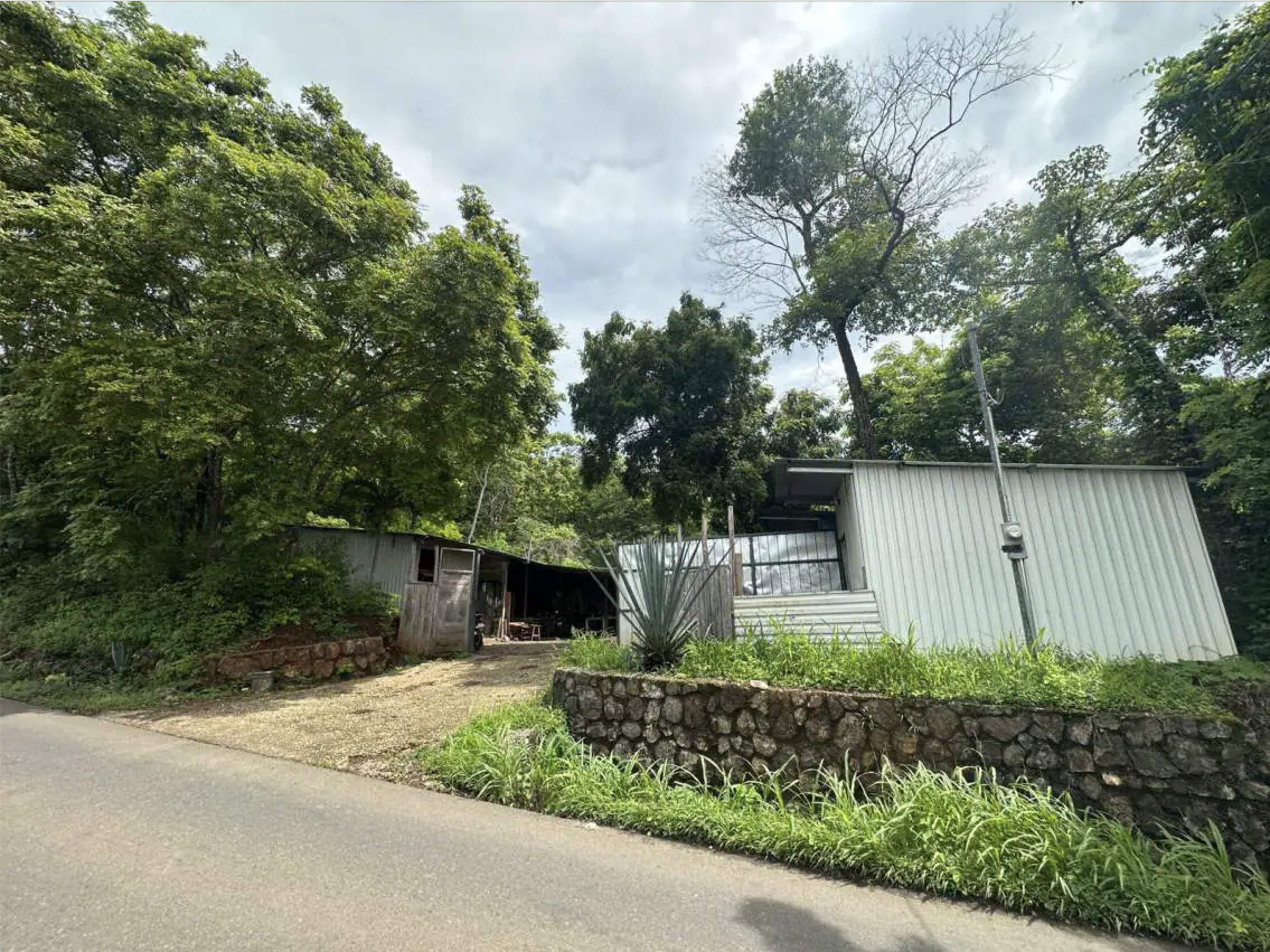 Lot altos de flamingo