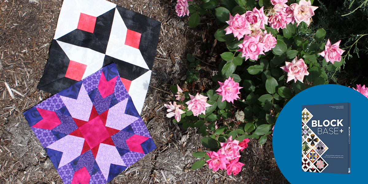 Want to discover new blocks? Dive into BlockBase+!