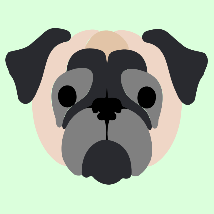 Pug