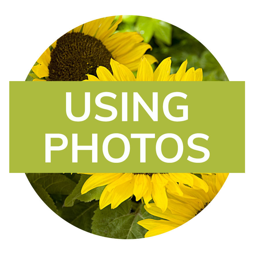 A photo of flowers with the text “Using Photos“