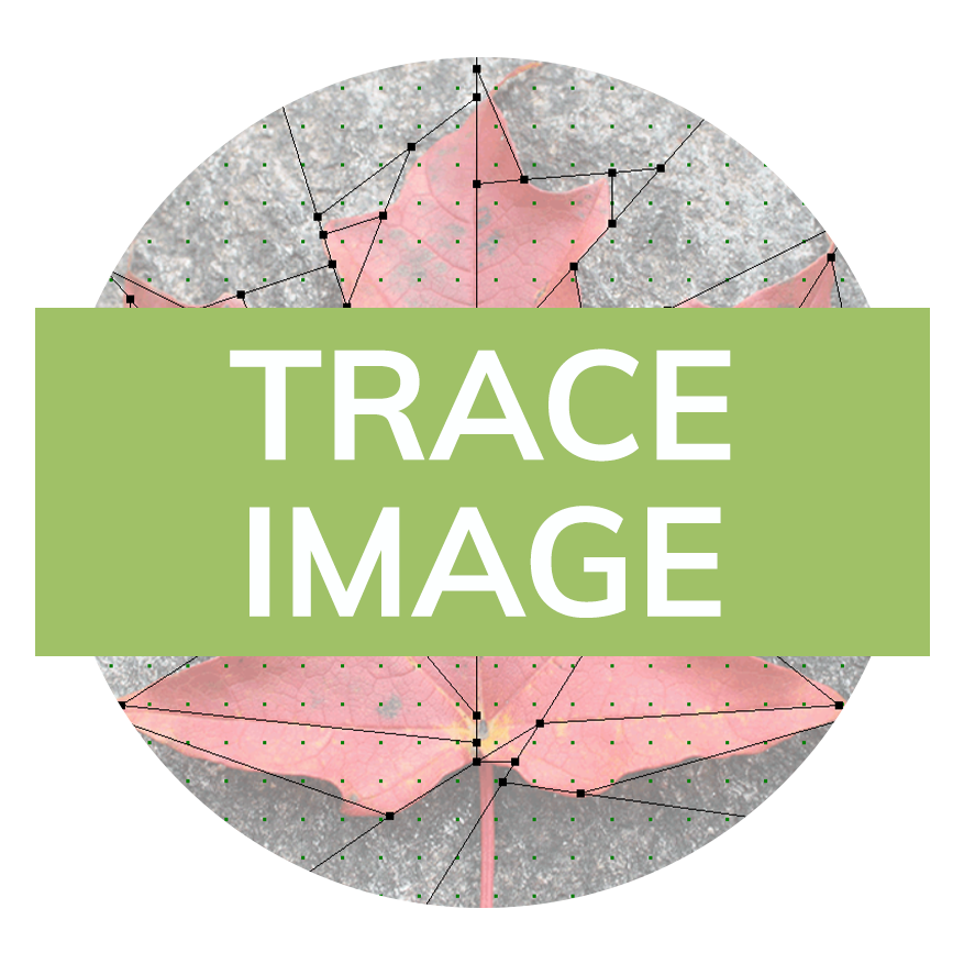 A photo of a leaf with the text “Trace Image“