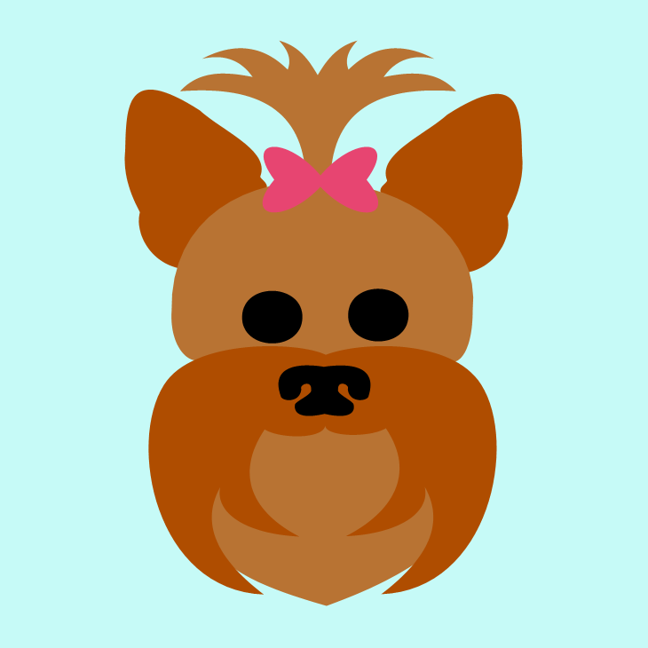 Yorkie