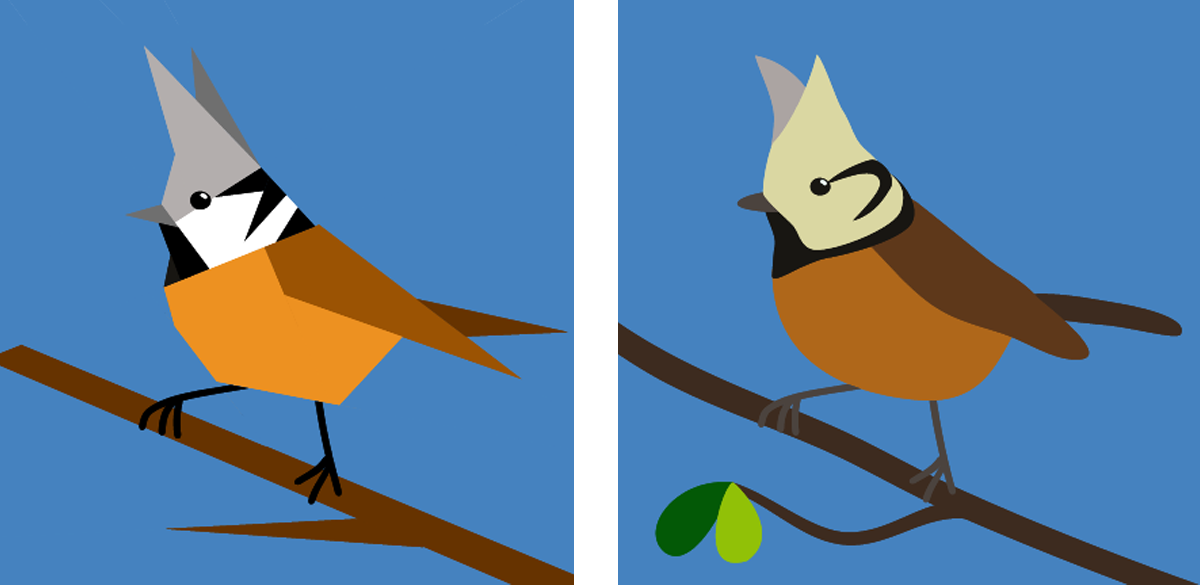 Name that bird
