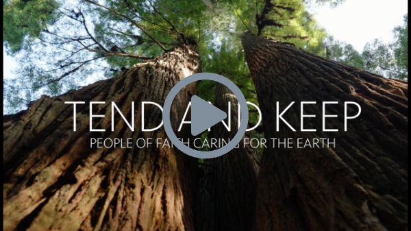 To Tend and To Keep: People of Faith Caring For The Earth