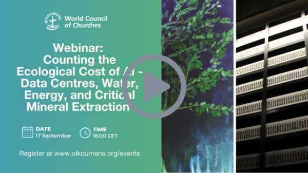 #WCC Webinar: Counting the Ecological Cost of AI