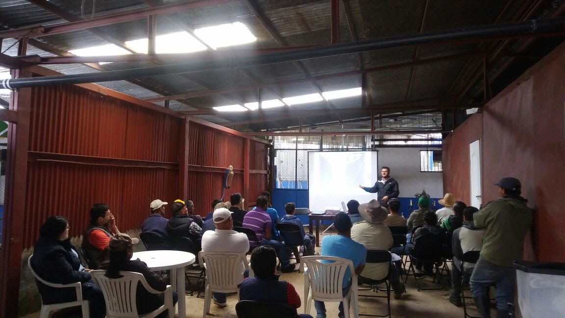 Capacitación oficial en cercas eléctricas con experiencia práctica de más de 16 años