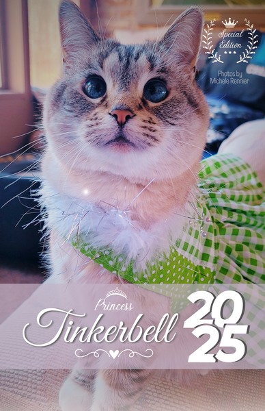 Tinkerbell's Special Edition 2024 Calendar