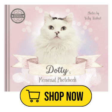SPECIAL EDITION DOTTY
