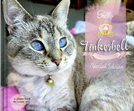 2023 Special Edition Tinkerbell 