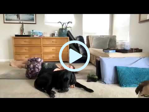 Easy Yoga for Energy in the Dog Days of Summer