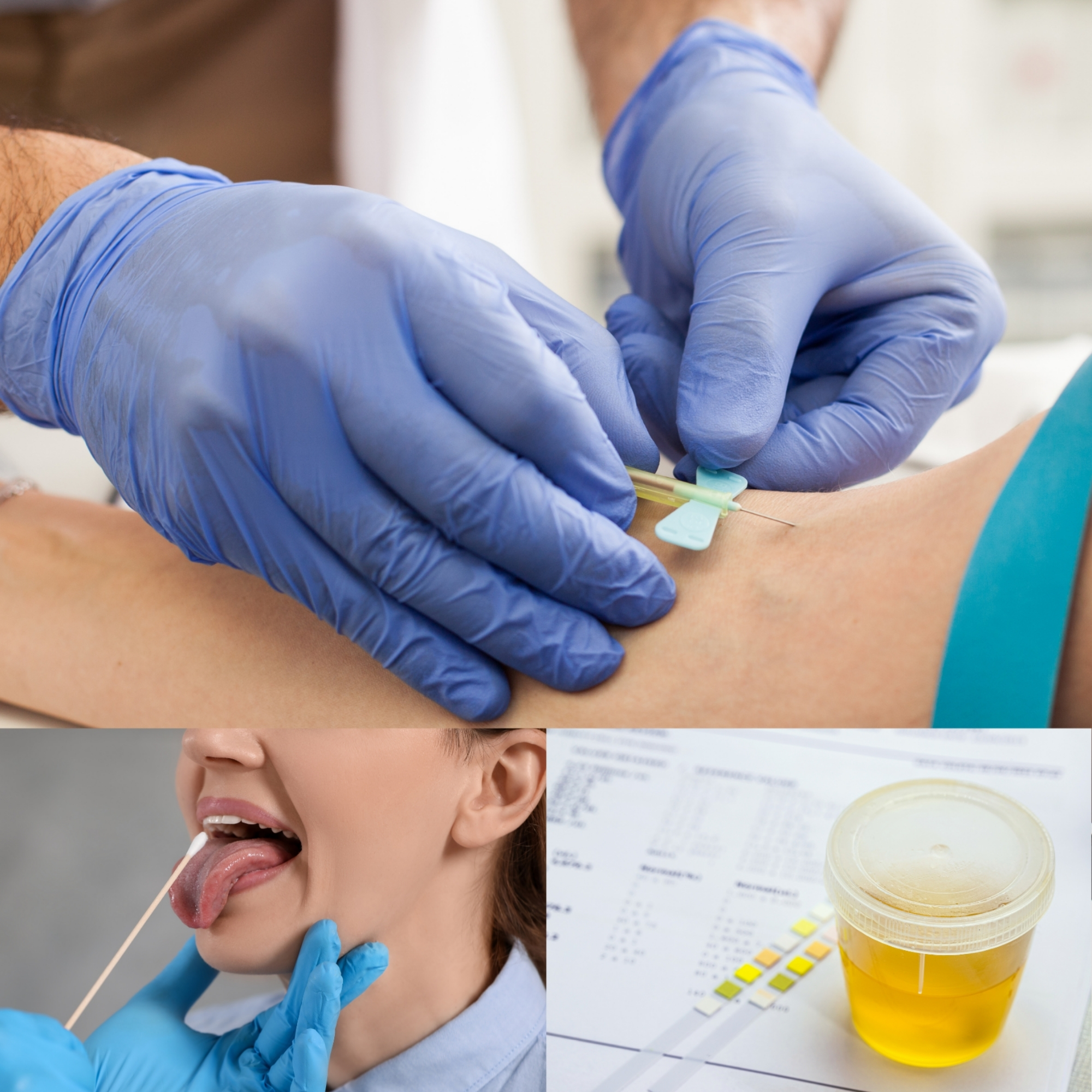 Laboruntersuchungen in der Naturheilpraxis Dietrich