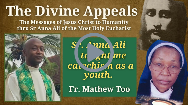 The Divine Appeals International Online Meeting - Fr Mathew Too