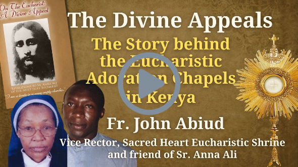The Divine Appeals International Online Meeting with Fr. John Abiud - Friend of Sr Anna Ali