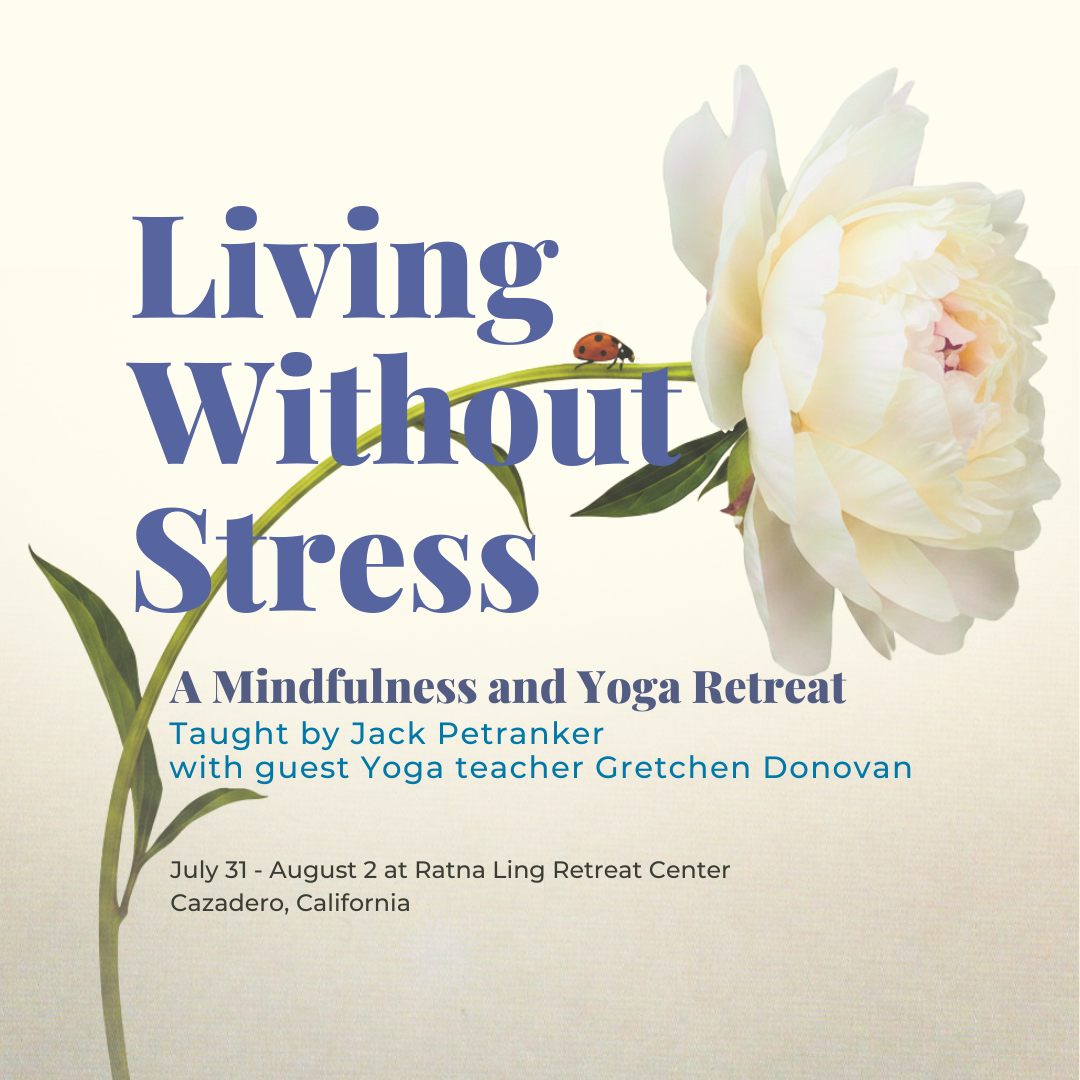 Space: Beyond the Fixation on Solidity