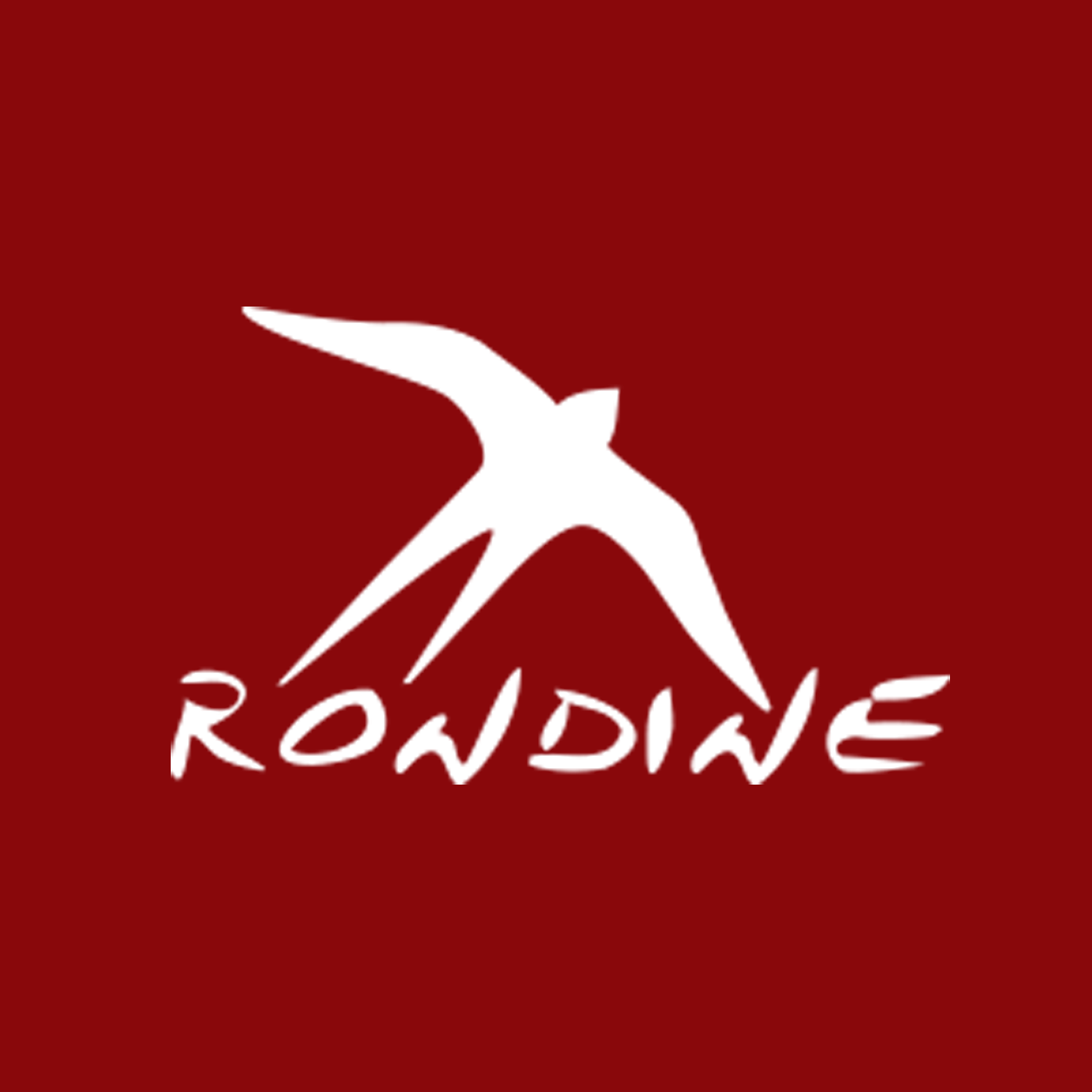 Testimonianza Riccardo