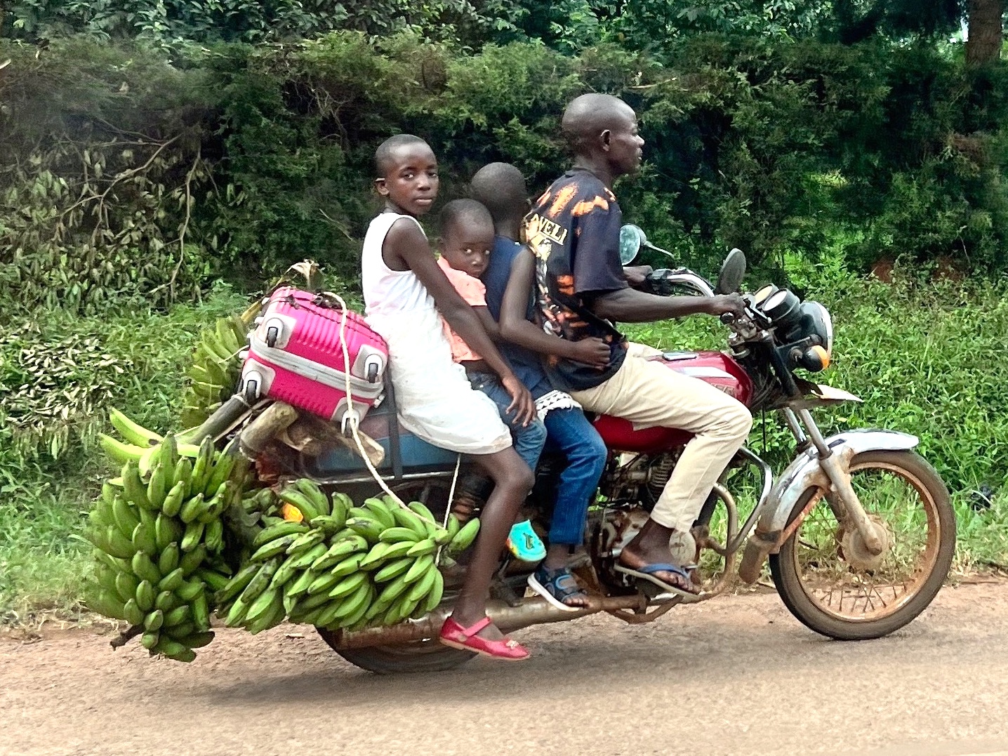 A motorcycle with dad and three children plus a pink suitcase and several stems of green bananas