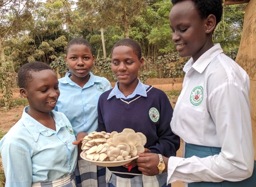 three teenage girls in Secondary school uniforms and one in “A levels“ uniform holding a big plate of oyster mushrooms. Girls are all looking happy and curious. .