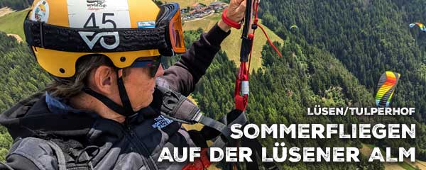 Sommerfliegen in Lüsen