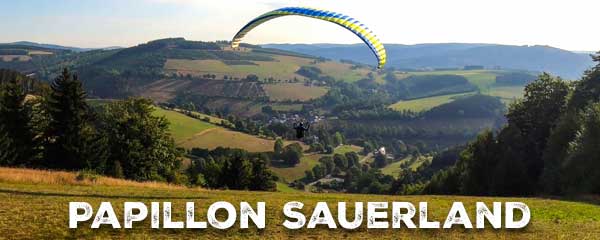 Papillon Sauerland