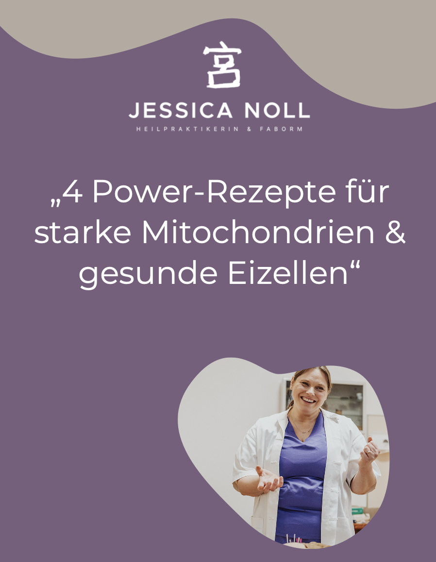 AKOm und Jessica Noll Der weibliche Zyklus aus Sicht der TCM