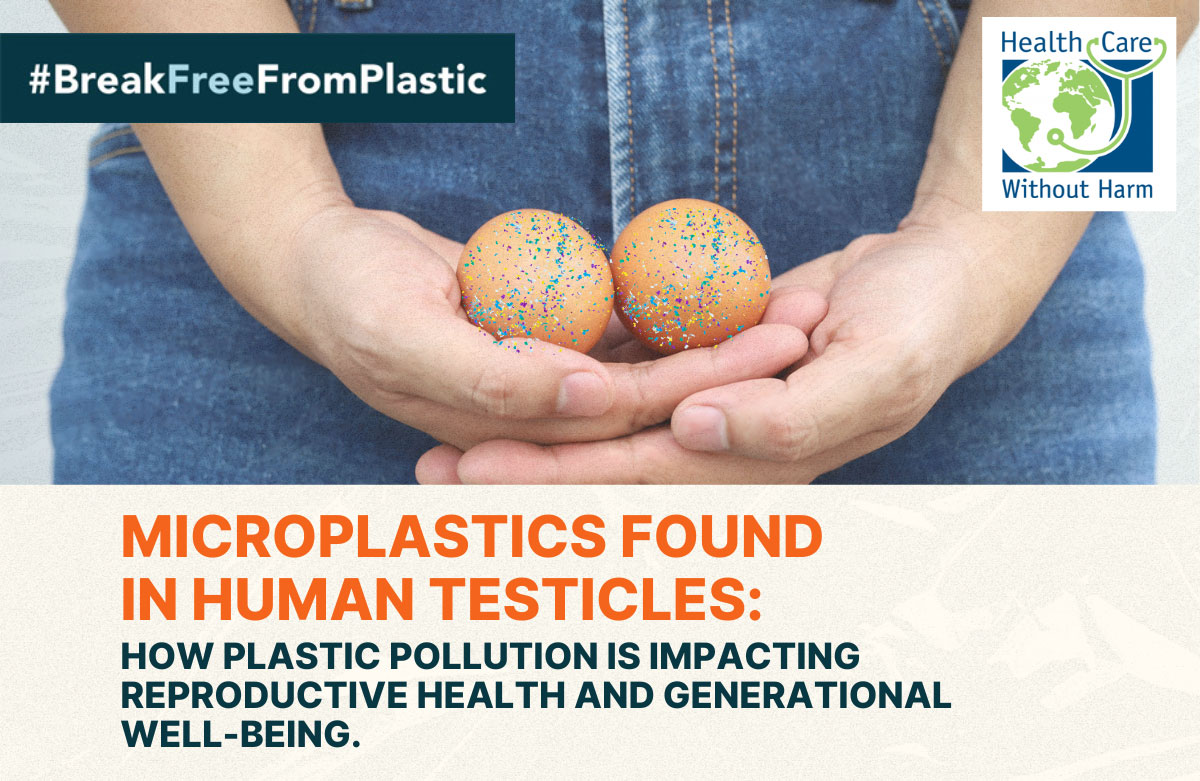 microplastics in human testicles