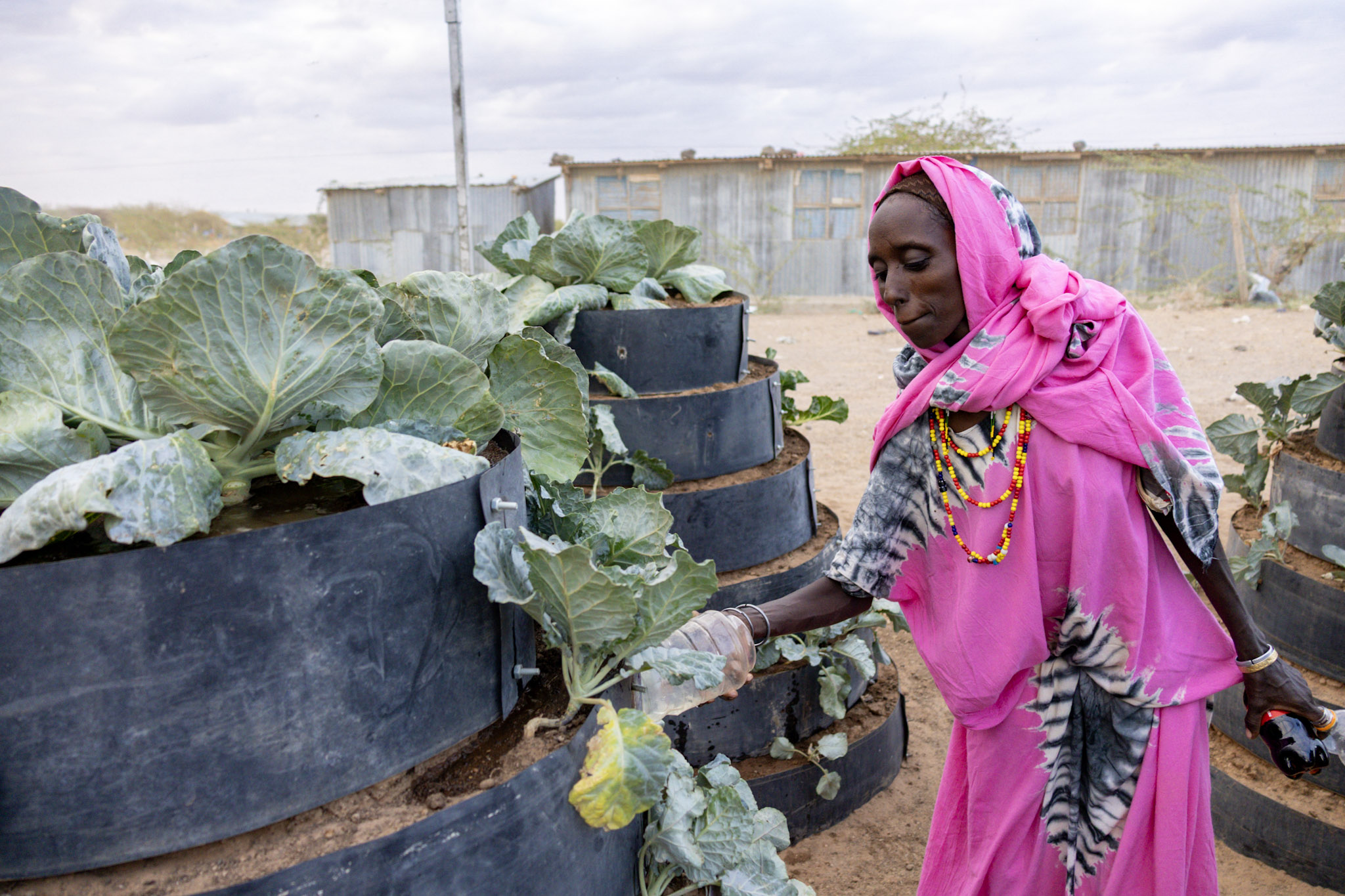 Savings Group participant in Kenya utilizing a vertical irrigation system to conserve water
