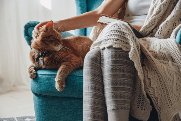 Illustration of a person reading on a sofa with a cat and cup of tea, set in a warm, inviting living room