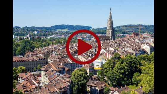 Switzerland as a Thinking Tool for Medical Group Structure