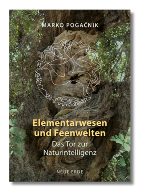 Cover Elemtarwesen und Feenwelten