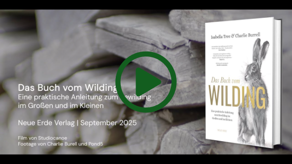 “Das Buch vom Wilding“ – Isabella Tree & Charlie Burrell