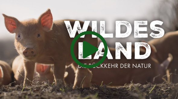 Wildes Land | Auf DVD, Blu-ray & Digital HD - Trailer [HD] Deutsch / German