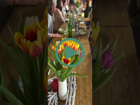 Pflanzenheilkunde-Praktiker:in